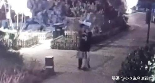 911爆料吃瓜视频,吃瓜群众视角下的惊心动魄瞬间