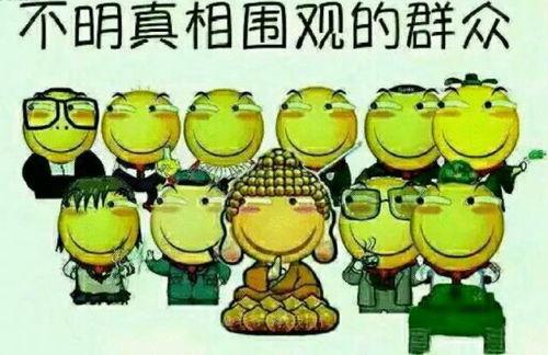 娱乐吃瓜文字游戏