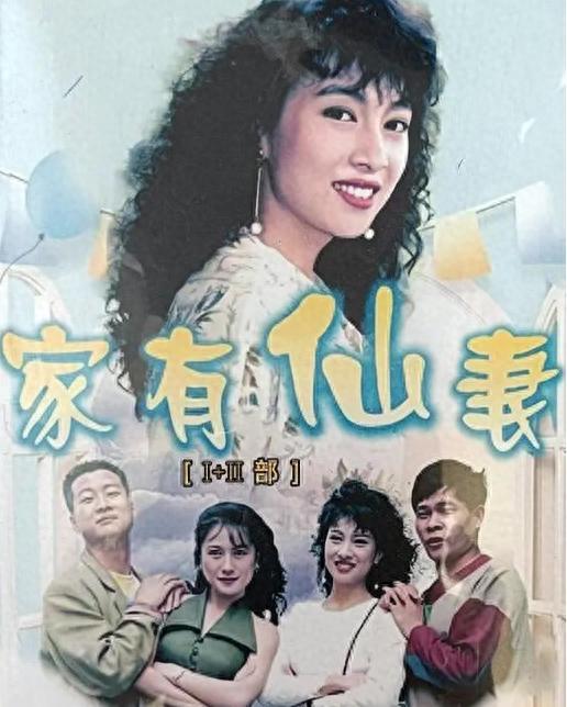 电视剧家有仙妻全集,奇幻爱情与家庭温馨的完美融合