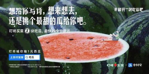 娱乐圈的吃瓜文案是什么,明星幕后故事大曝光